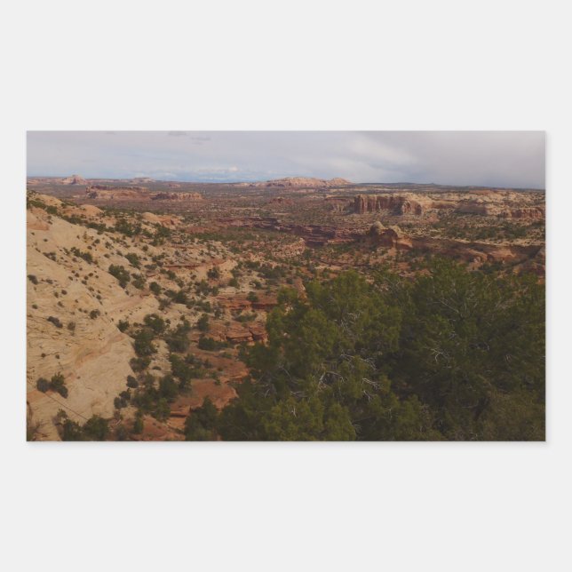 Pegatina Rectangular Vista de Canyonlands desde el sendero Neck Springs (Anverso)