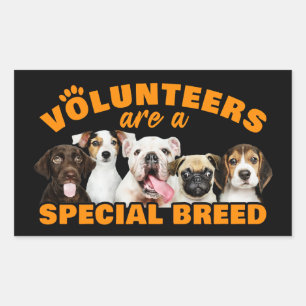 Pegatina Rectangular Voluntarios son un refugio especial para perros de
