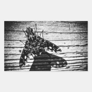 Pegatina Rectangular volver atrás