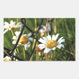 Pegatina Rectangular Vrede achter het hek. In bloemen illustratief.