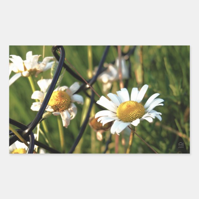 Pegatina Rectangular Vrede achter het hek. In bloemen illustratief. (Anverso)