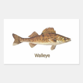 Pegatina Rectangular Walleye (Grandes Lagos)