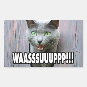 Pegatina Rectangular WASSUP - Meme Cat