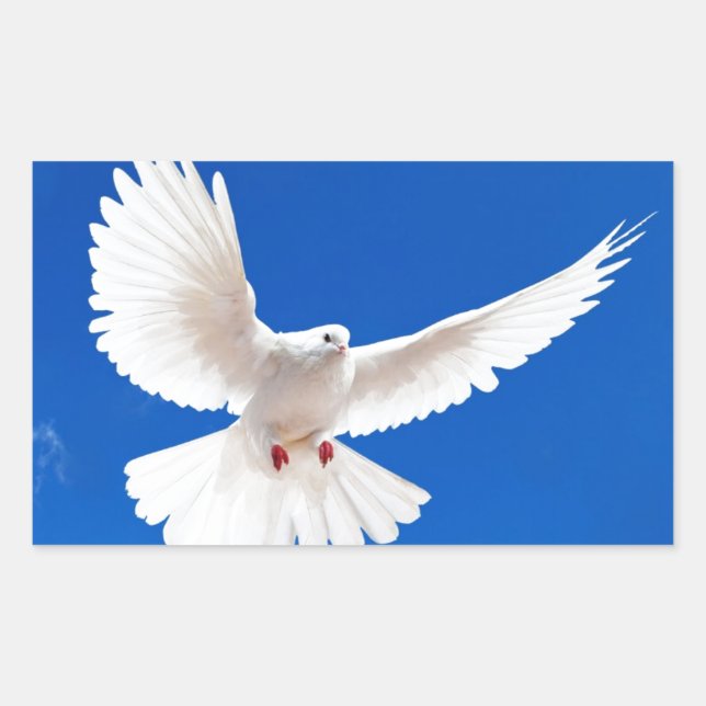 Pegatina Rectangular White Dove Bird Peace Love Flying Sky (Anverso)