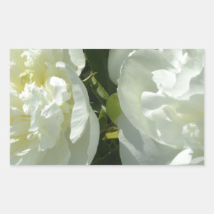 Pegatina Rectangular White Peonies