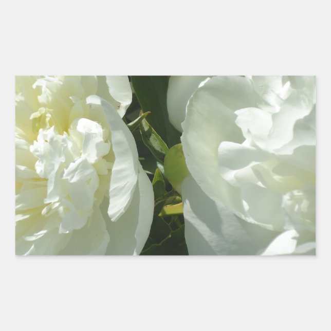 Pegatina Rectangular White Peonies (Anverso)
