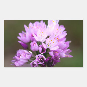 Pegatina Rectangular Wild Flower