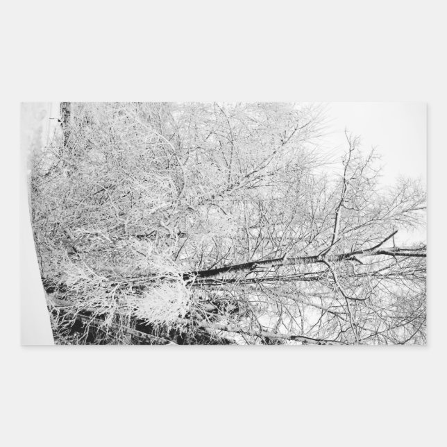 Pegatina Rectangular Winter Whites (Anverso)