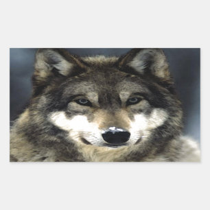 Pegatina Rectangular Wolf