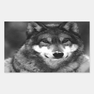 Pegatina Rectangular Wolf