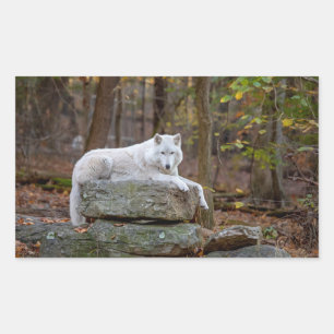 Pegatina Rectangular Wolf en otoño