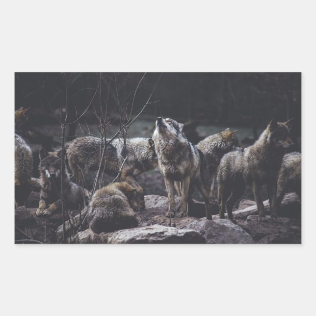 Pegatina Rectangular Wolf Pack (Anverso)