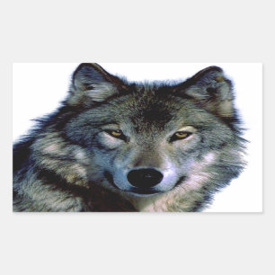 Pegatina Rectangular Wolf Portrait