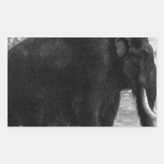 Pegatina Rectangular Wooly Mammoth Mod Destiny (Anverso)