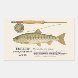 Pegatina Rectangular Yamame (Oncorhynchus masou) – English Illust