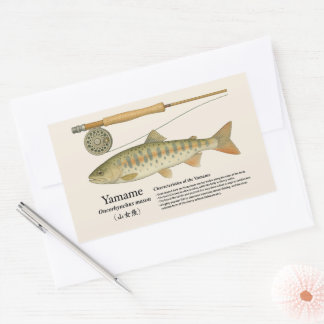 Pegatina Rectangular Yamame (Oncorhynchus masou) – English Illust