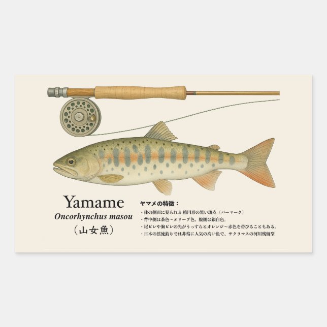 Pegatina Rectangular Yamame (Oncorhynchus masou) – Fish Illust (Anverso)
