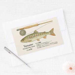 Pegatina Rectangular Yamame (Oncorhynchus masou) – Ilustración Japonesa