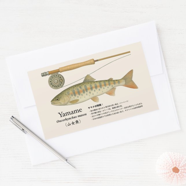 Pegatina Rectangular Yamame (Oncorhynchus masou) – Ilustración Japonesa (Sobre)