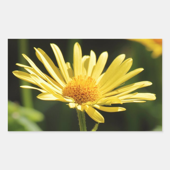 Pegatina Rectangular Yellow Daisy (Anverso)
