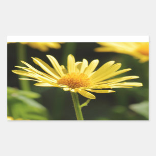 Pegatina Rectangular Yellow Daisy
