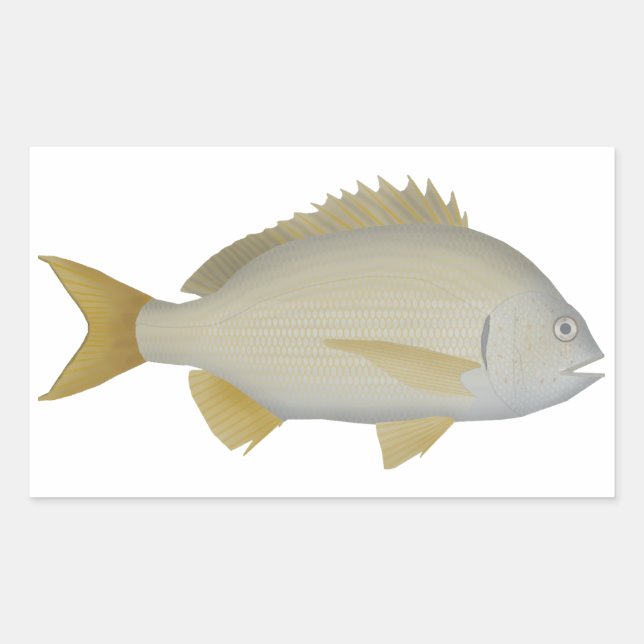 Pegatina Rectangular Yellowfin Bream (Anverso)