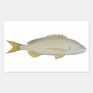 Pegatina Rectangular Yellowfin Bream