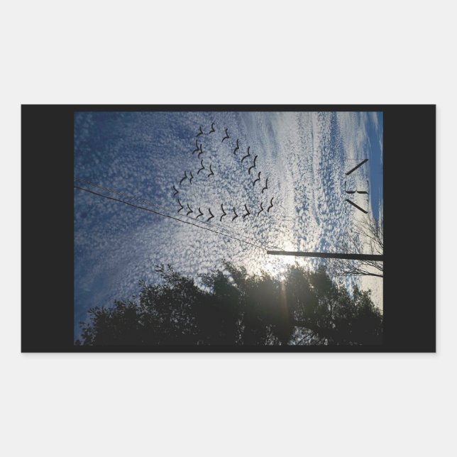 PEGATINA RECTANGULAR ZEN (Anverso)