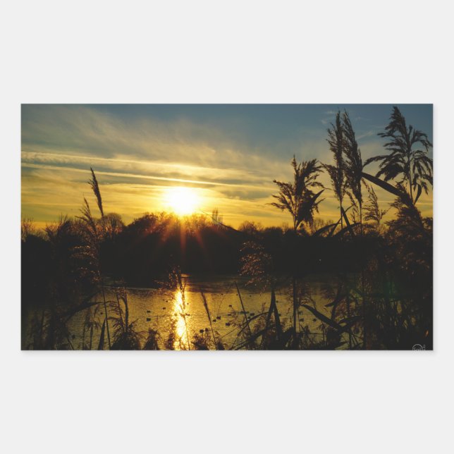 Pegatina Rectangular Zonsondergang bij een meertje met rietpluimen. (Anverso)