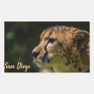 Pegatina Rectangular Zoológico de San Diego