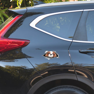 Pegatina Red Cavalier King car decal, Red Cavalier King