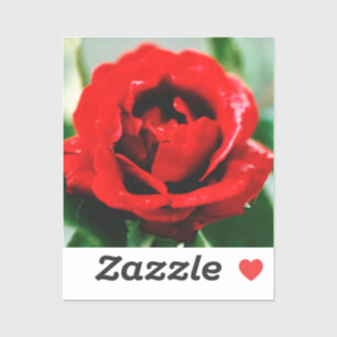 Pegatina Red Rose Love