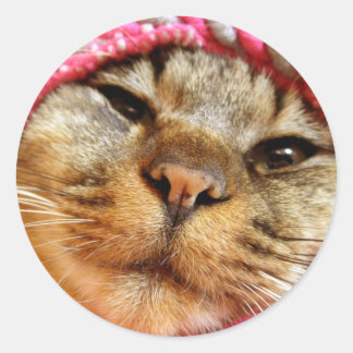 PEGATINA REDONDA ピンク帽子のチャド