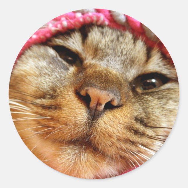 PEGATINA REDONDA ピンク帽子のチャド (Anverso)