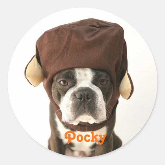 PEGATINA REDONDA モンキー1 (Anverso)