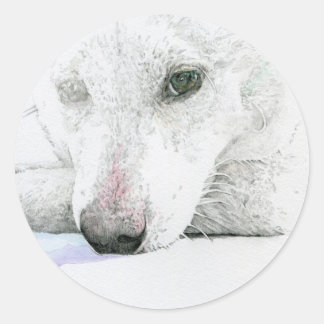PEGATINA REDONDA 白柴犬シール