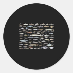 Pegatina Redonda 100 tipos de especies de peces de agua dulce para