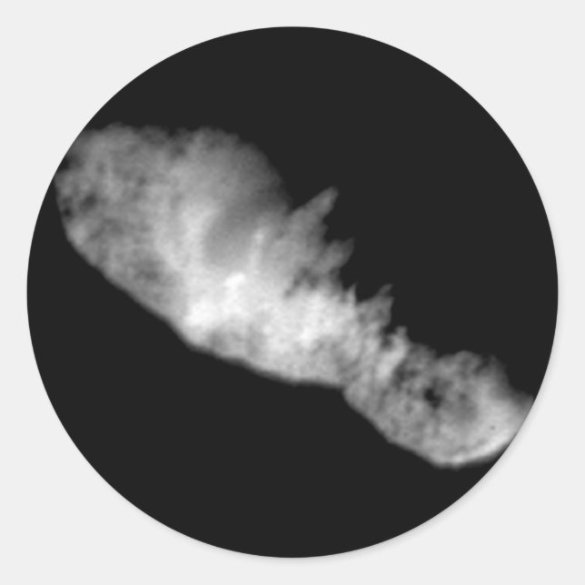 Pegatina Redonda 19P/Borrelly (Anverso)