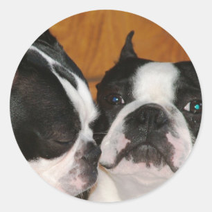 Pegatina Redonda 2009-Cover