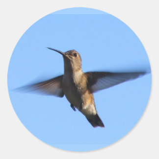 Pegatina Redonda 3.ᵉʳ colibrí volando en un cielo azul