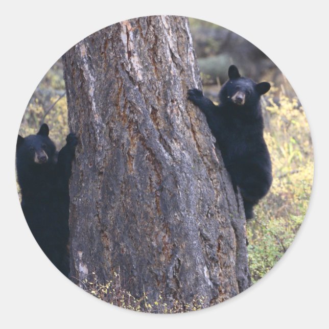 Pegatina Redonda 6.º pesadilla (Anverso)