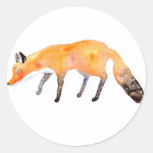 6.º zorra