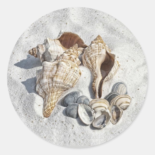 Pegatina Redonda A Collection of Seashells on Sand (Anverso)