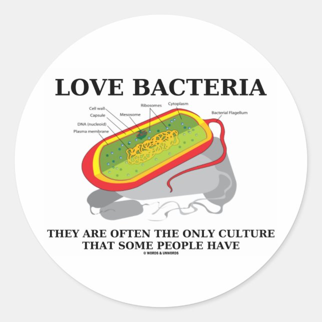 Pegatina Redonda A Menudo, las bacterias solo tienen cultura alguna (Anverso)