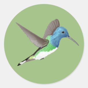 Pegatina Redonda Abandonar a Jacobin Hummingbird - transparente.