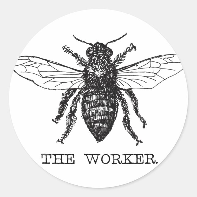 Pegatina Redonda Abee Worker Honey Black Bumblebee (Anverso)