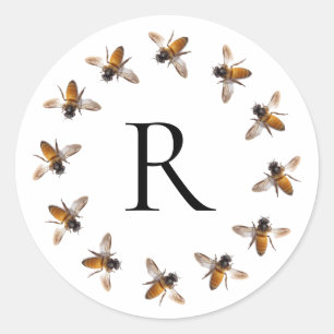 Pegatina Redonda Abeja, abeja, abeja torpe, insecto