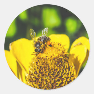 Pegatina Redonda abeja con flor amarilla