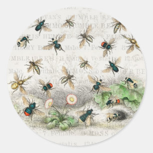 Pegatina Redonda Abeja Miel Trabajador Reina Abejas Antigüo
