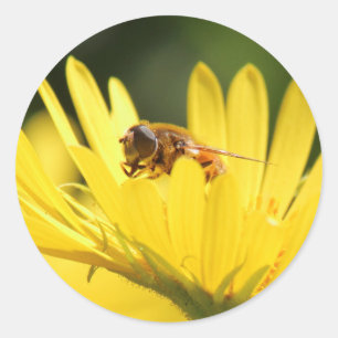 Pegatina Redonda Abeja ocupada